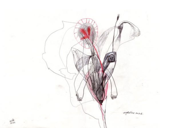 vegetative Mind – Kerstin Müller
