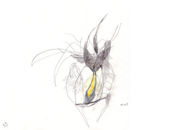 aloof – Kerstin Müller