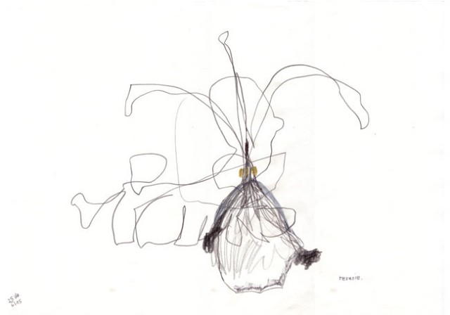 reverie – kerstin müller