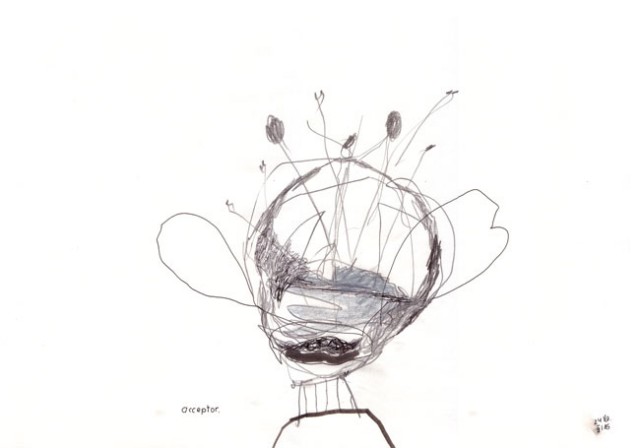 acceptor – Kerstin Müller