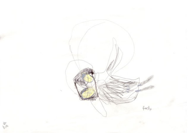 firefly – Kerstin Müller Künstlerin