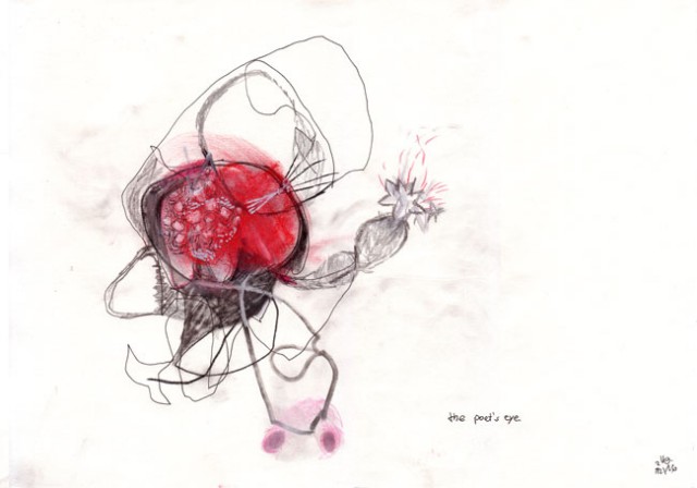 the poet´s eye – Zeichnung, drawing kerstin Müller