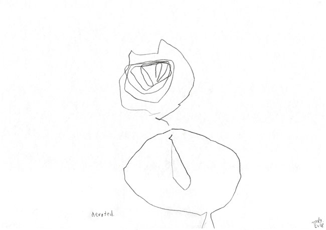 devoted - kerstin Müller kunst