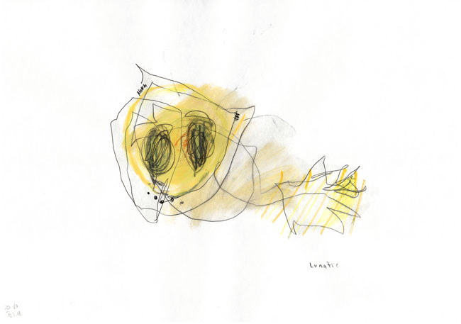 lunatic – kerstin Müller Zeichnung