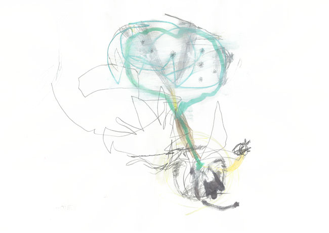 honey - Zeichnung Kunst Kerstin Mer
