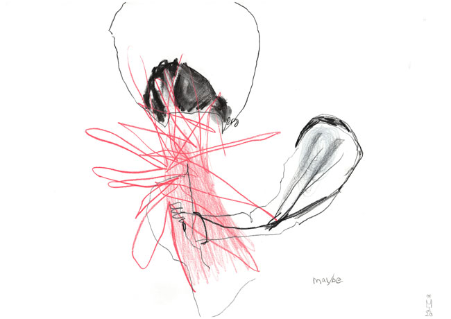 Maybe – Kerstin Mer Zeichnung